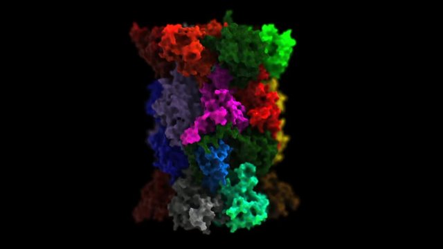 20S core proteasome