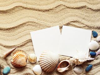 Fototapeta na wymiar Seashells and empty white cards on sand. Sea summer vacation background with space for the text