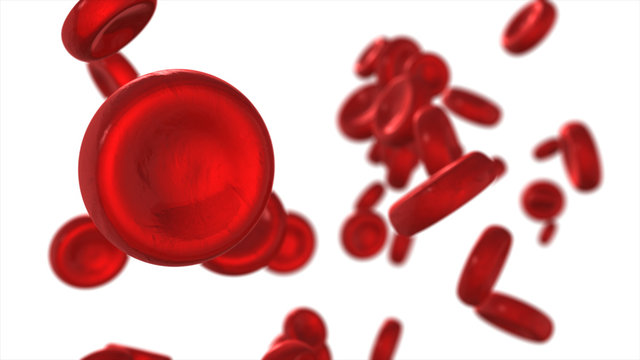 Flying blood cells isolated on white background