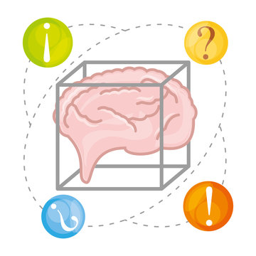 brain thinking in differents questions, vector illustration