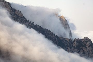 A shaded mountain in the distance with foreground trees and fog