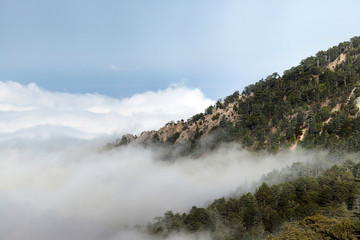 Rocky Mountains in Turkey tightened fog