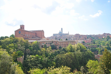 Obraz premium Beautiful view of the historic city of Siena. Tuscany, Italy 