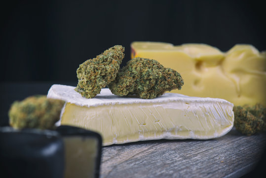 Dried cannabis bud (Cheese strain) - medical marijuana edibles concept