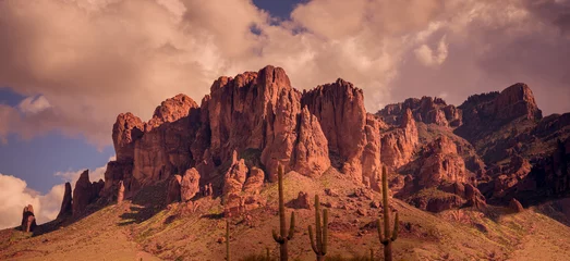 Afwasbaar fotobehang Arizona desert wild west landscape © BCFC
