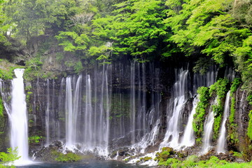 Fototapeta na wymiar 新緑の滝