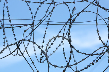 Razor wire