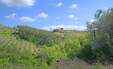 Fototapeta na wymiar Beautiful Tuscany landscape, Italy 