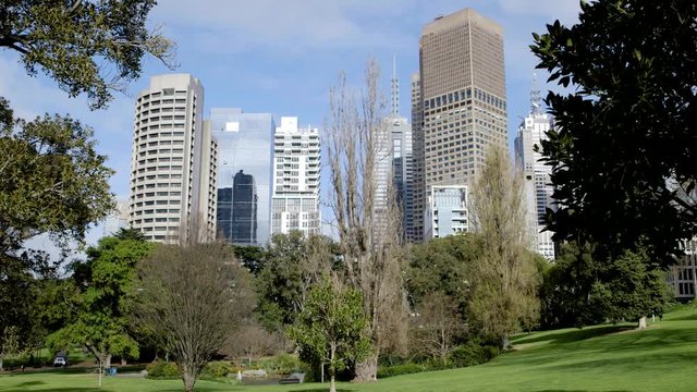 Melbourne CBD From Treasury Gardens