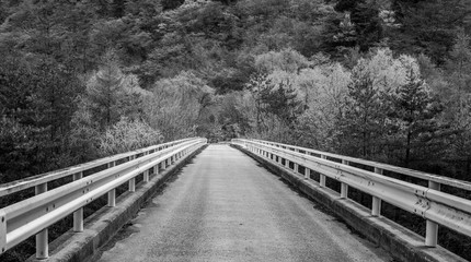 Ponte no Preto branco