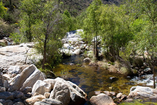 Deciduous trees and large rocks along Sabino Creek in Sabino Canyon, near Tucson, Arizona