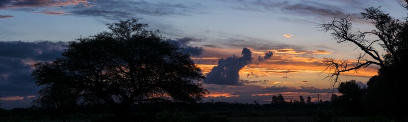 Panorama atardecer en el campo