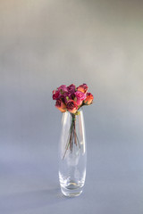 Colorful paper rose flower in glass vase over grey background