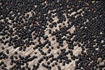 Fresh Black pepper