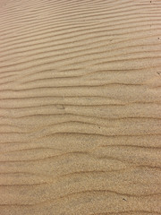 Rippled sand