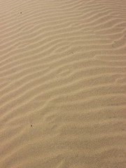 Rippled sand