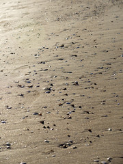 Stones scattered in sand