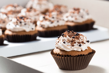 Cacao cupcakes with cheese cream  and chocolate decorations