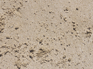Coarse textured sand