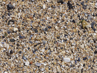 Coarse textured sand