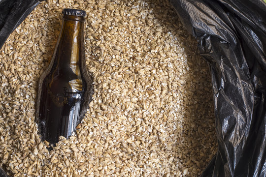 Amber Malt With Bottle, Beer Brewing Ingredients.