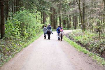 Obraz premium Pony reiten im Wald