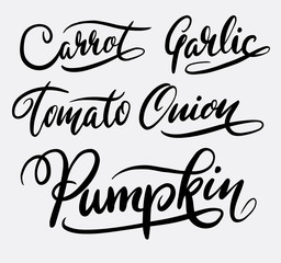 Pumpkin and carrot hand written typography. Good use for logotype, symbol, cover label, product, brand, poster title or any graphic design you want. Easy to use or change color
