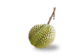 Isolated Mon Thong or Golden Pillow durain , king of tropical fruit