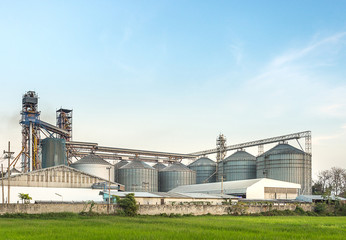 Fototapeta na wymiar silo in food industry behind rice field