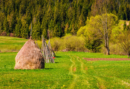 haystack near forest on hillside
