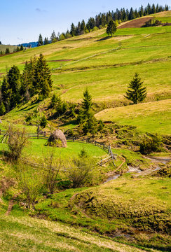 mountain rural area in late springtime