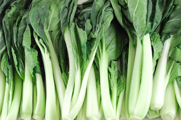 Fototapeta premium close up on fresh vegetable cabbage background