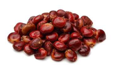 Obraz premium Sumac berries