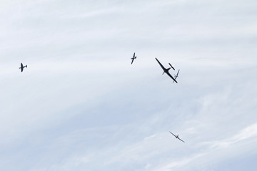 Spitfire