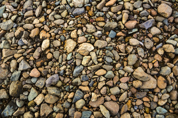 Color Gravel Texture. Stones texture.