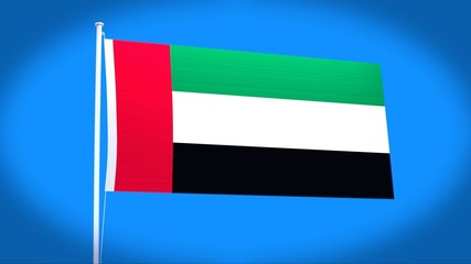 the national flag of UAE
