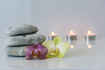 Fresh pink orchid near gray stones. Spa concept