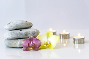 Fototapeta na wymiar Fresh pink and yellow orchid near gray stones on a white background. Concept spa and relaxation.