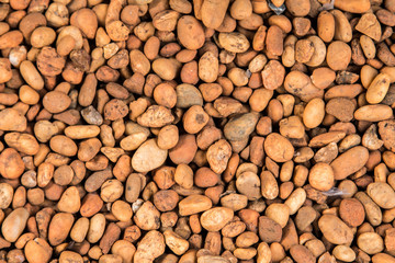 pebble stone background,river rocks background