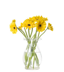 Naklejka na ściany i meble Yellow gerbera flower in a glass vase on the white background
