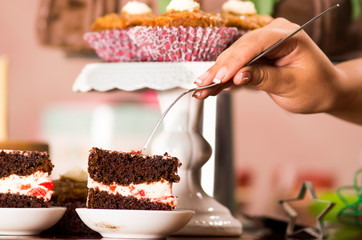 Delicious chocolate cake pieces with cream filling sitting on small plates, hand holding fork grabbing piece, pastry concept
