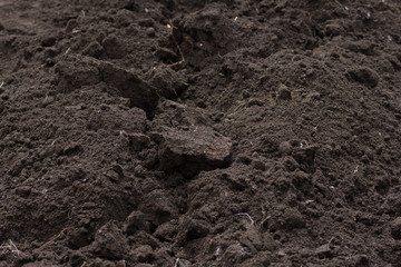 Soft soil