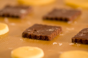 Freshly baked chocolate cookies on tray rack