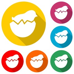 Chick hatched from an egg - Illustration