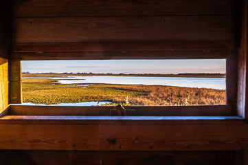 Seeing the lakes trough small wooden window