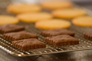 Delicious fresh chocolate cookies in a grating bakery