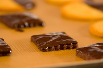 Delicious fresh chocolate cookies on wooden desk