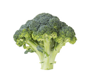 Fresh broccoli isolated on white background.