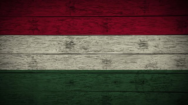 Painting flag of Hungary on old wood board