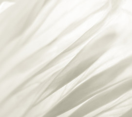 Fototapeta na wymiar poppy flower (270) papaver